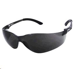 Rental store for GLASSES, NSX TURBO GRAY in Antioch CA